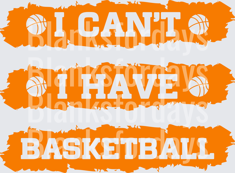 I Can't I Have Basketball Orange Brush Stroke Funny Quote (DTF)